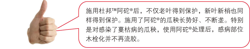 ʩ�öŰ�<sup>TM</sup>����<sup>&reg;</sup>�󣬲�����Ҷ�õ���������Ҷ����Ҳͬ���õ�������ʩ���˰���<sup>&reg;</sup>�Ĺ������ƺá�����¢���ر��ǶԸ�Ⱦ�����ݲ��Ĺ�����ʹ�ð���<sup>&reg;</sup>�����󣬸в���λľ˨��������������