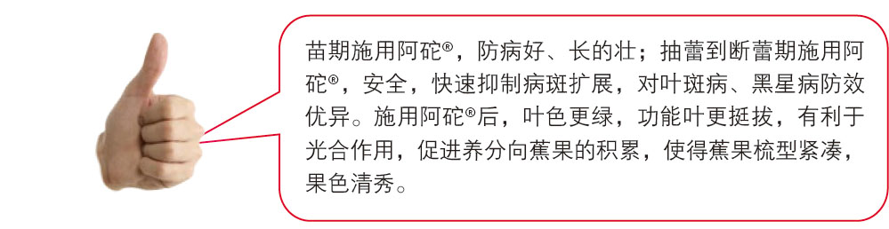 ʩ�öŰ�<sup>TM</sup>����<sup>&reg;</sup>�󣬲�����Ҷ�õ���������Ҷ����Ҳͬ���õ�������ʩ���˰���<sup>&reg;</sup>�Ĺ������ƺá�����¢���ر��ǶԸ�Ⱦ�����ݲ��Ĺ�����ʹ�ð���<sup>&reg;</sup>�����󣬸в���λľ˨��������������