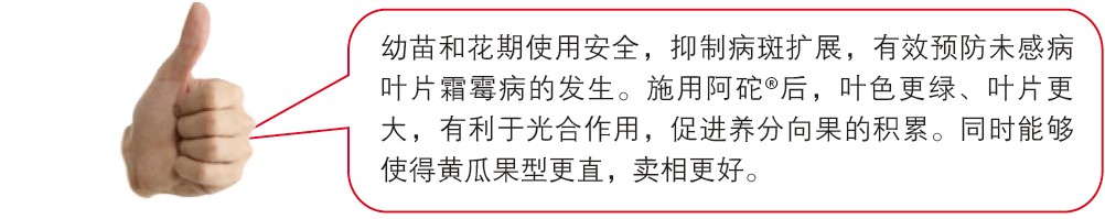 ����ͻ���ʹ�ð�ȫ�����Ʋ�����չ����ЧԤ��δ�в�ҶƬ˪ù���ķ�����ʩ�ð���&reg;��Ҷɫ���̡�ҶƬ��
�������ڹ�����ã��ٽ���������Ļ��ۡ�ͬʱ�ܹ�ʹ�ûƹϹ��͸�ֱ��������á�