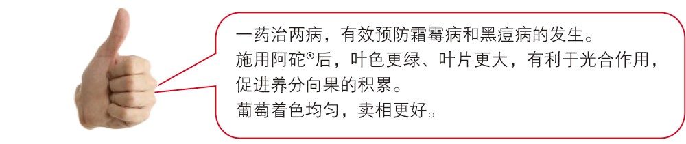 һҩ����������ЧԤ��˪ù���ͺڶ����ķ�����ʩ�ð���&reg;��Ҷɫ���̡�ҶƬ���������ڹ�����ã��ٽ���������Ļ��ۡ�������ɫ���ȣ�������á�