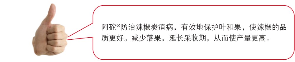 ����?��������̿�Ҳ�����Ч�ر���Ҷ�͹���ʹ������Ʒ�ʸ��á�����������ӳ������ڣ��Ӷ�ʹ�������ߡ�