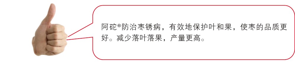 �Ű�<sup>TM</sup>����&reg;�������ⲡ����Ч�ر���Ҷ�͹���ʹ���Ʒ�ʸ��á�������Ҷ������������ߡ�