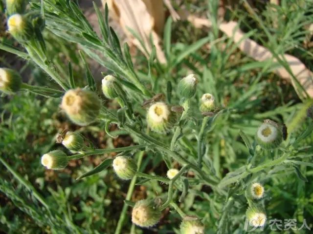 1501753191244734.jpg 1501753191244734.jpg