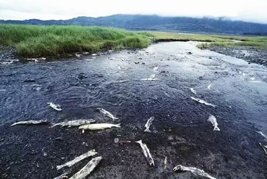 对纸浆废液肥料的认识-农技社区服务平台