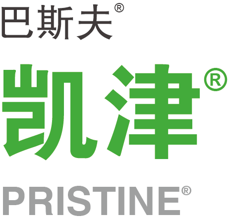 凯津
