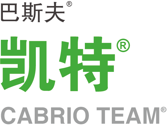 凯特