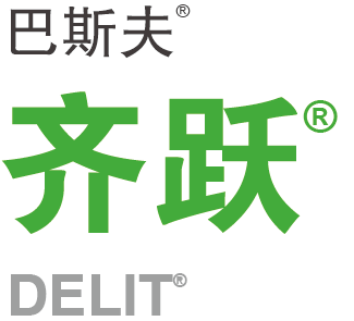 Ծ