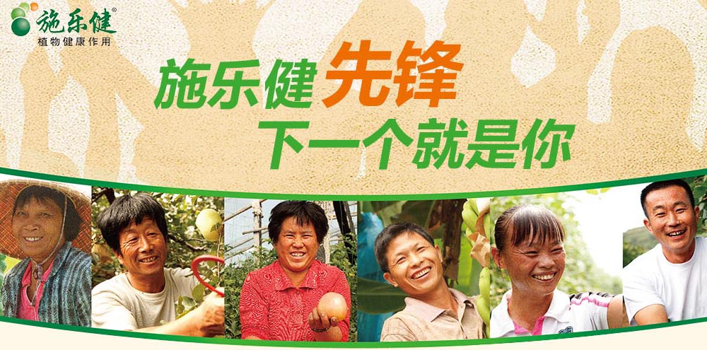 ������ƴ