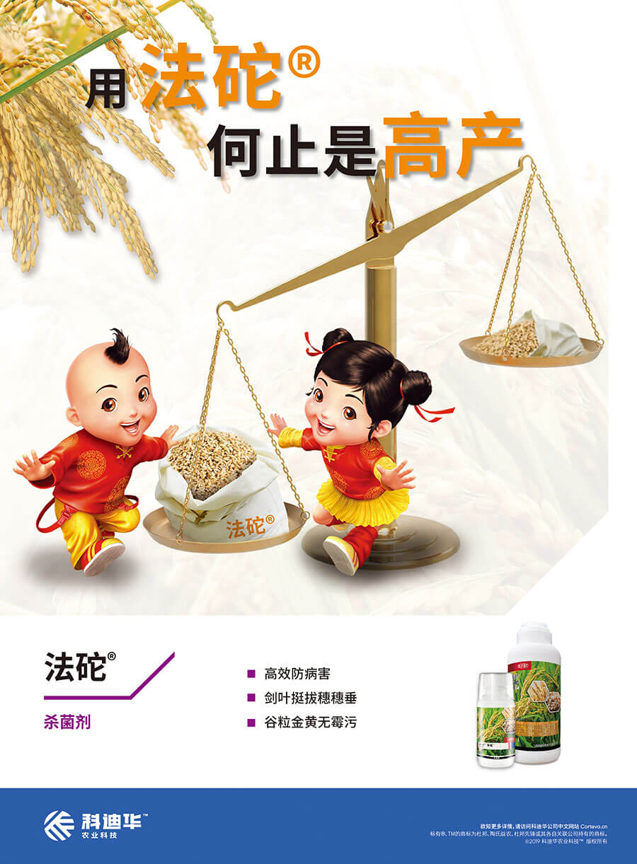 科迪华 法砣-用法砣 何止是高产