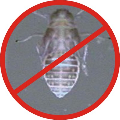 ҷʭ