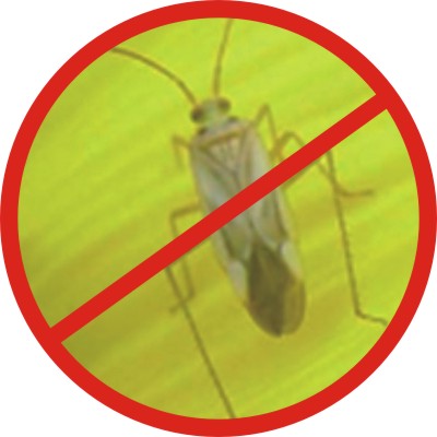 ޣä