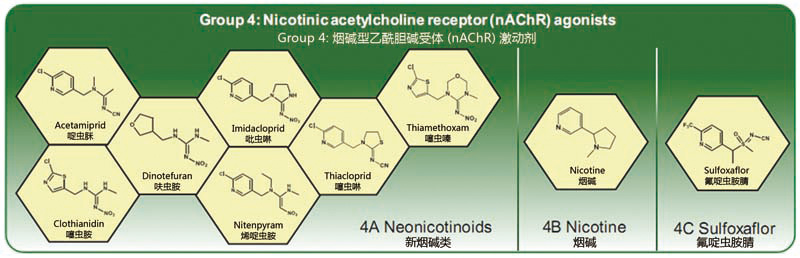 ISOCLAST ActiveɱжίԱ϶ΨһGroup 4CȫЧɷ֡