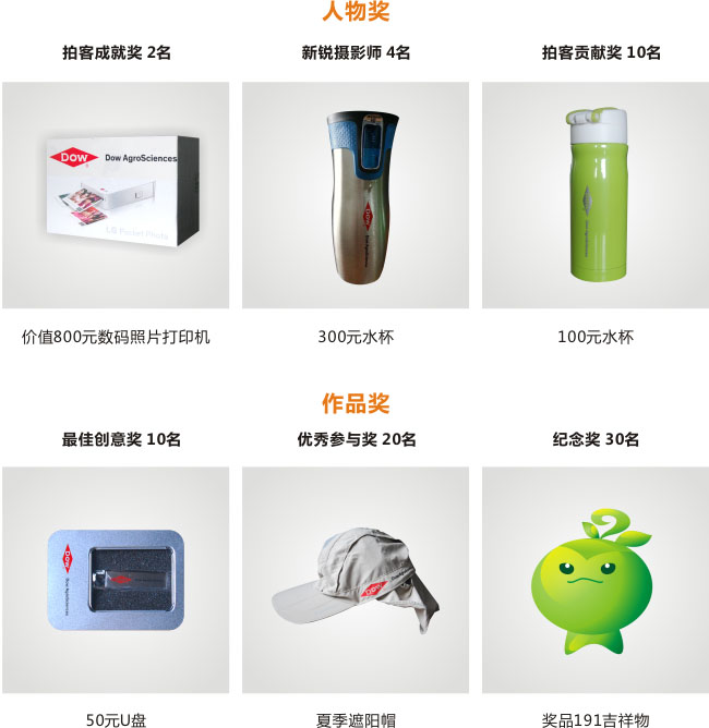奖项设置