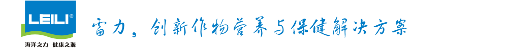 Ӫ뱣