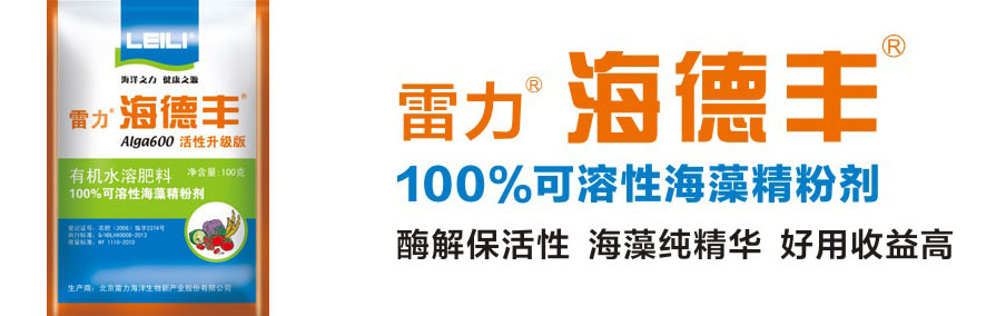 · 100%Ժ徫ۼ