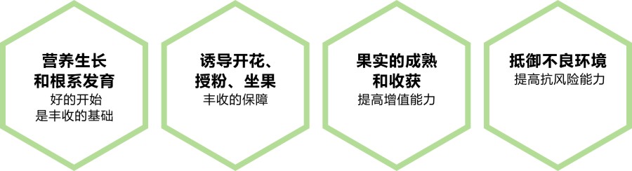 ʩ