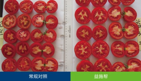 ʩ