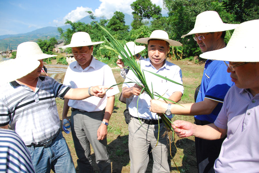 怕病毒--用独翠 - 田园农博士毒氟磷